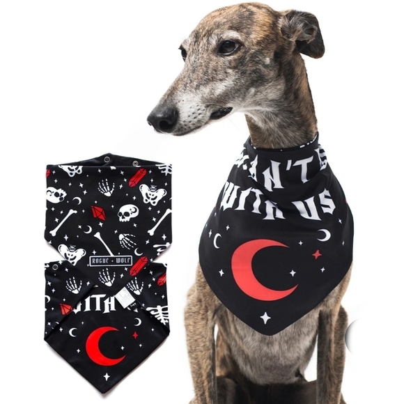 Rogue + Wolf ✦ “You Can’t Dig With Us” Reversible Pet Bandana ✦ Bones + Crystals - Picture 7 of 16